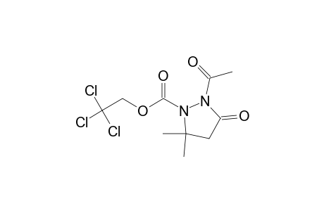 1-Pyrazolidinecarboxylic acid, 2-acetyl-5,5-dimethyl-3-oxo-, 2,2,2-trichloroethyl ester