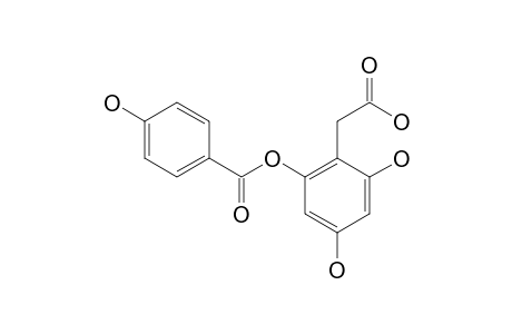 2-O-(4-HYDROXYBENZOYL)-2,4,6-TRIHYDROXYPHENYLACETIC_ACID