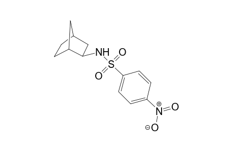4-Nitro-N-(2-norbornyl)benzenesulfonamide