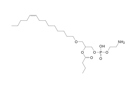 PE O-14:1_4:0