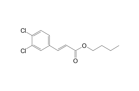 (E)-3-(3,4-dichlorophenyl)-2-propenoic acid butyl ester