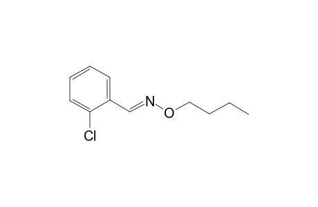 2-Chloro-1-(N- n-butoxy)benzaldimine
