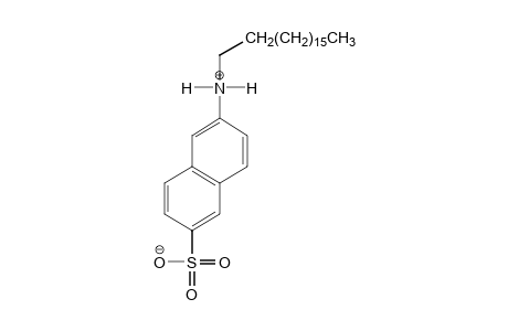 n-OCTADECYLNAPHTHYL-2-AMINO-6-SULFONIC ACID