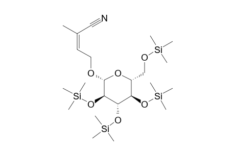 Multifidin, 4tms derivative