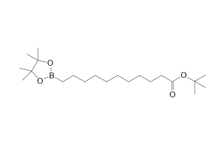 tert-Butyl-11-(4,4,5,5-tetramethyl-1,3,2-dioxaborolan-2-yl)-undecanoate