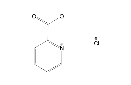 PICOLINIC ACID, HYDROCHLORIDE