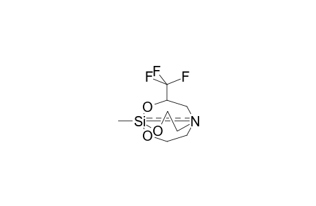 1-METHYL-3-TRIFLUOROMETHYLSILATHRANE