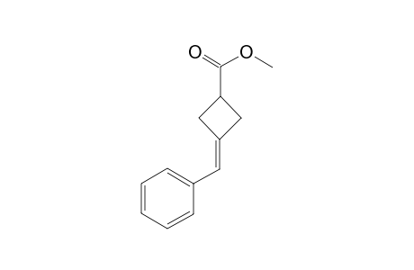 Methyl 3-benzylidenecyclobutanecarboxylate