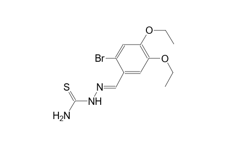 2-bromo-4,5-diethoxybenzaldehyde thiosemicarbazone