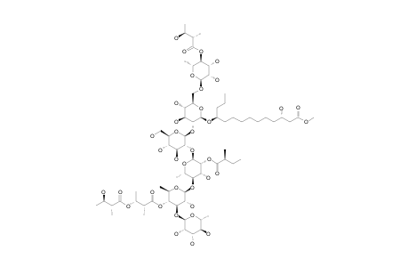 PM-4;METHYL_3-S,11-S-DIHYDROXYTETRADECANOATE_11-O-ALPHA-L-RHAMNOPYRANOSYL-(1->3)-O-[4-O-2-R-METHYL-3-R-O-(2-R-METHYL-3-R-HYDROXYBUTYRYL)-BUTYRYL]