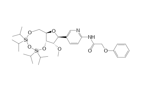 2-[N-(Phenoxyacetyl)amino]-5-[2'-O-methyl-3',5'-O-(1",1",3",3"-tetraisopropyl-disiloxane-1",3"-diyl)-.beta.-D-ribofuranosyl]-pyridine