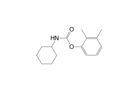 2,3-dimethylphenyl cyclohexylcarbamate