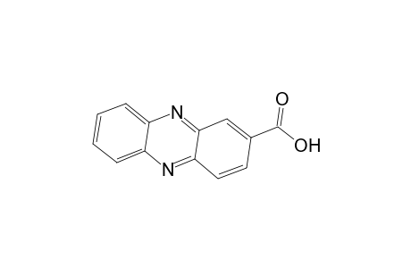 2-Phenazinecarboxylic acid