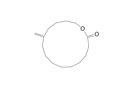 11-Methylene-oxacyclopentadecan-2-one