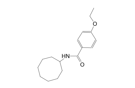 N-cyclooctyl-4-ethoxybenzamide