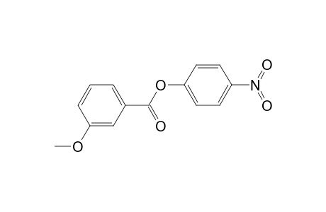 3-Methoxybenzoic acid (4-nitrophenyl) ester