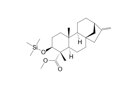 Methyl ester,trimethylsilyl ether of Ent-3.beta.-Hydroxykaur-16-en-19-oic acid