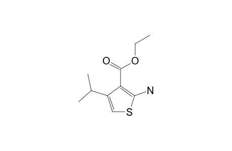 ETHYL-2-AMINO-4-ISOPROPYLTHIOPHENE-3-CARBOXYLATE