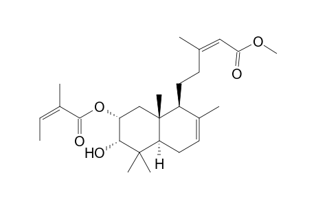 2alpha-Angeloyloxy-3alpha-hydroxy-(13Z)-13,14-didehydro-delta8(17)-cativin acid methyl ester