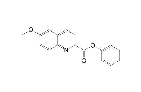 Phenyl 6-methoxyquinoline-2-carboxylate