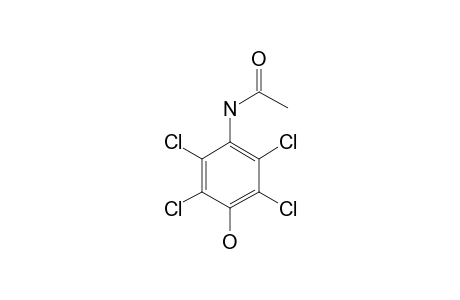 N-(2,3,5,6-TETRACHLORO-4-HYDROXYPHENYL)-ACETAMIDE