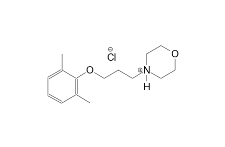 4-[3-(2,6-dimethylphenoxy)propyl]morpholin-4-ium chloride