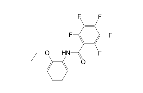 N-(2-ethoxyphenyl)-2,3,4,5,6-pentafluorobenzamide
