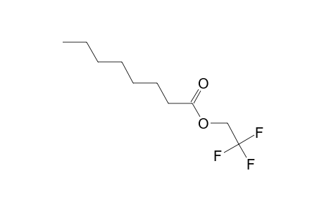 Octanoic acid, 2,2,2- trifluoroethyl ester