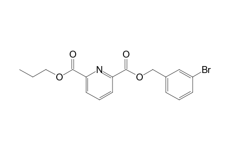 2,6-Pyridinedicarboxylic acid, 3-bromobenzyl propyl ester