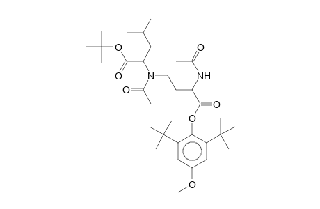 tert-Butyl 2-(acetyl[3-(acetylamino)-4-(2,6-ditert-butyl-4-methoxyphenoxy)-4-oxobutyl]amino)-4-methylpentanoate