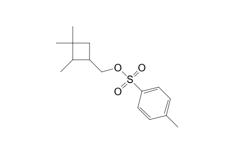 2,3,3-trimethylcyclobutylmethyl p-toluenesulphonate