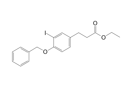 3-(3-iodo-4-phenylmethoxyphenyl)propanoic acid ethyl ester