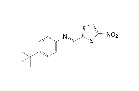 2-{[(p-tert-butylphenyl)imino]methyl}-5-nitrothiophene