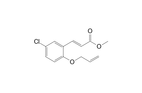 Methyl 3-(2-allyloxy-5-chlorophenyl)propenoate