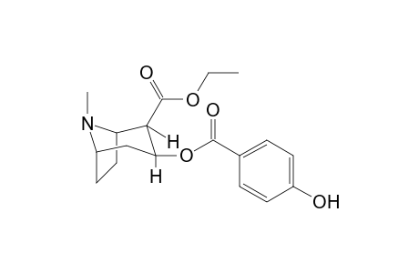 Cocaethylene-M (OH)