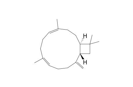 (1R,4E,8E,13S)-4,8,15,15-Tetramethyl-12-methylenebicyclo[11.2.0]pentadeca-4,8-diene