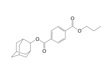 Terephthalic acid, 2-adamantyl propyl ester