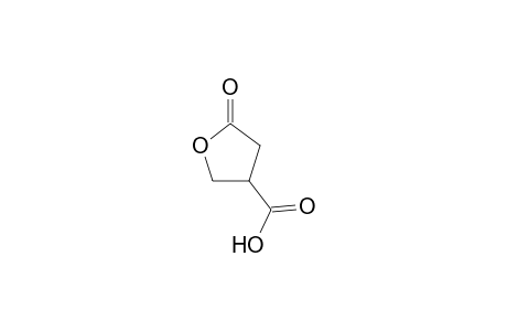 5-Oxo-tetrahydrofuran-3-carboxylic Acid