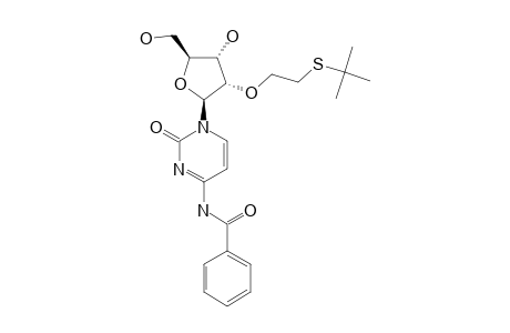 N4-BENZOYL-2'-O-ETHYLCYTIDINE-TERT.-BUTYL-DISULFIDE