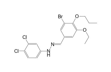 3-bromo-5-ethoxy-4-propoxybenzaldehyde (3,4-dichlorophenyl)hydrazone