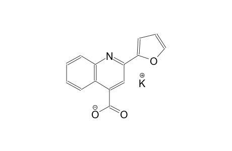 potassium 2-(2-furyl)-4-quinolinecarboxylate