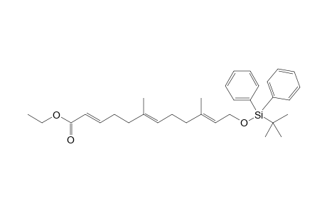 ethyl (2E,6E,10E)-12-((tert-butyldiphenylsilyl)oxy)-6,10-dimethyldodeca-2,6,10-trienoate