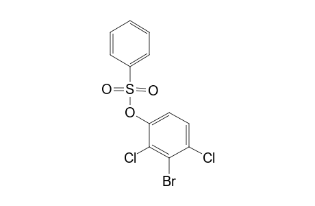 BENZENESULFONIC ACID, 3-BROMO-2,4-DICHLOROPHENYL ESTER