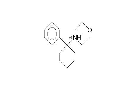 1-Morholino-1-phenyl-cyclohexane cation