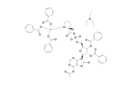 TRIETHYLAMMONIUM-6-N-ACETYL-2',3'-DI-O-BENZOYL-8-OXOADENOSINE-5'-[N-[N-(4,4',4''-TRISBENZOYLOXYTRITYL)-L-PROLYL]-PHOSPHORAMIDATE]