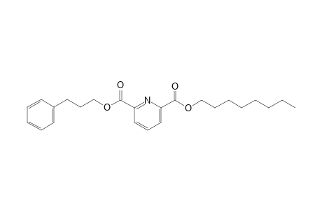 2,6-Pyridinedicarboxylic acid, octyl 3-phenylpropyl ester