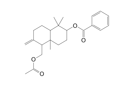 2-Methylene-5,5,8a-trimethyl-6-(benzoyloxy)-1-(acetoxymethyl)-perhydronaphthalene