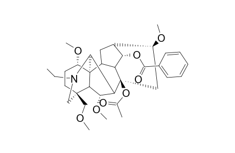 CRASSICAUDINE