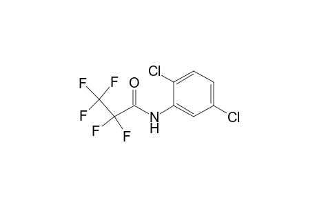 N-pentafluoropropionyl 2,5-dichloroaniline
