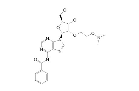 N(6)-BENZOYL-2'-O-[2-[(N,N-DIMETHYLAMINO)-OXY]-ETHYL]-ADENOSINE